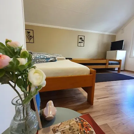 Kamilla Vendeghaz Holiday home Sarospatak